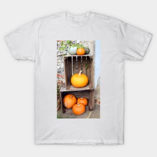 Crates of Orange Pumpkins T-Shirt